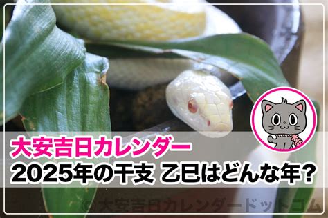 乙巳年2025|2025年の干支 乙巳（きのとみ）はどんな年？｜大安 